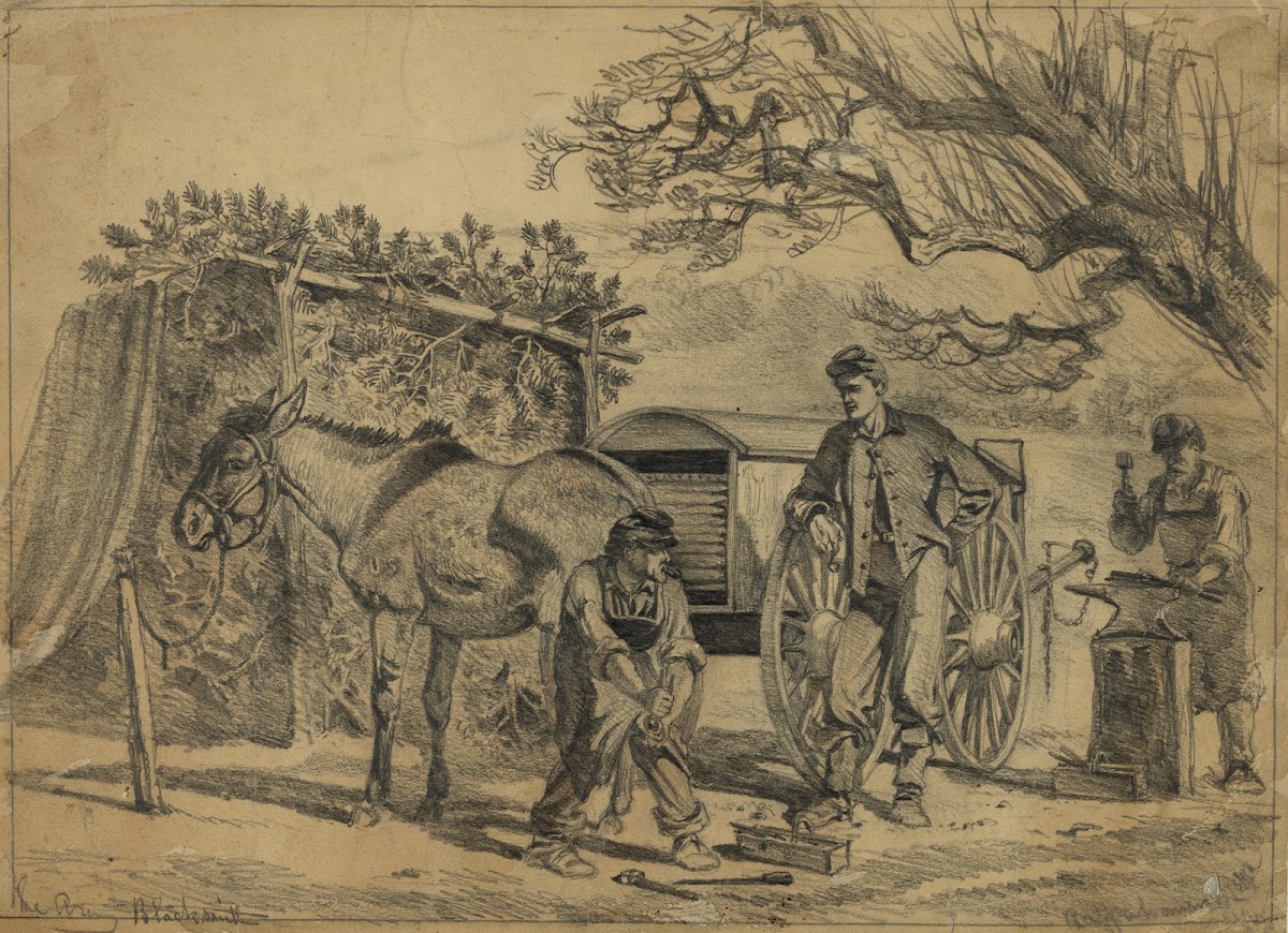 Shoeing a mule 1863