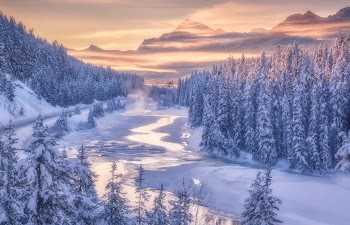 Winter Nature Wallpaper