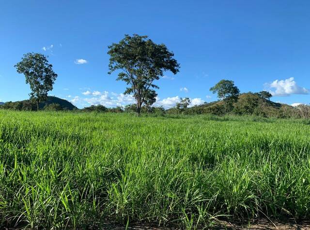 Fazenda no Município de Niquelândia - GO 6