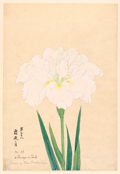 Ukiyo-e & Japanese Woodblock