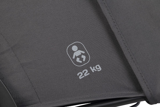 Stroller for twins Euro-Cart Doblo 2024 Iron