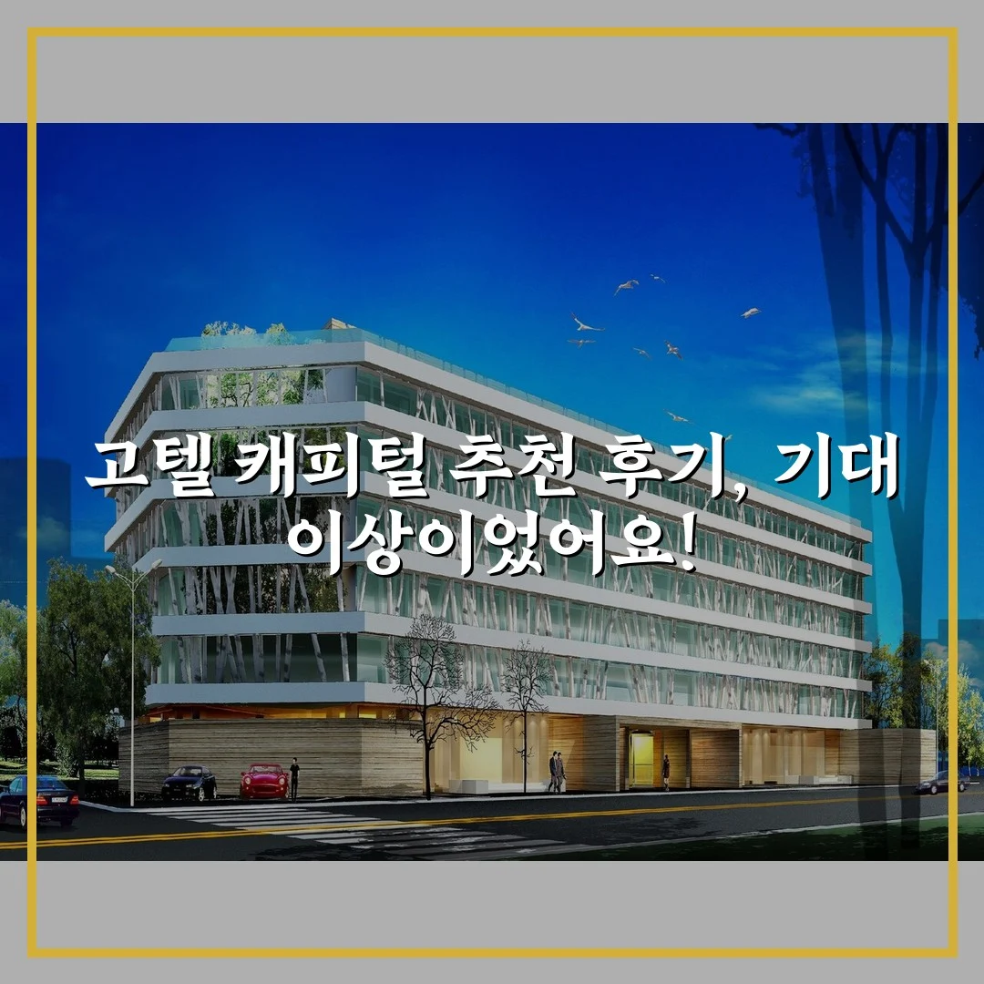고텔 캐피털 추천 후기, 기대 이상이었어요!