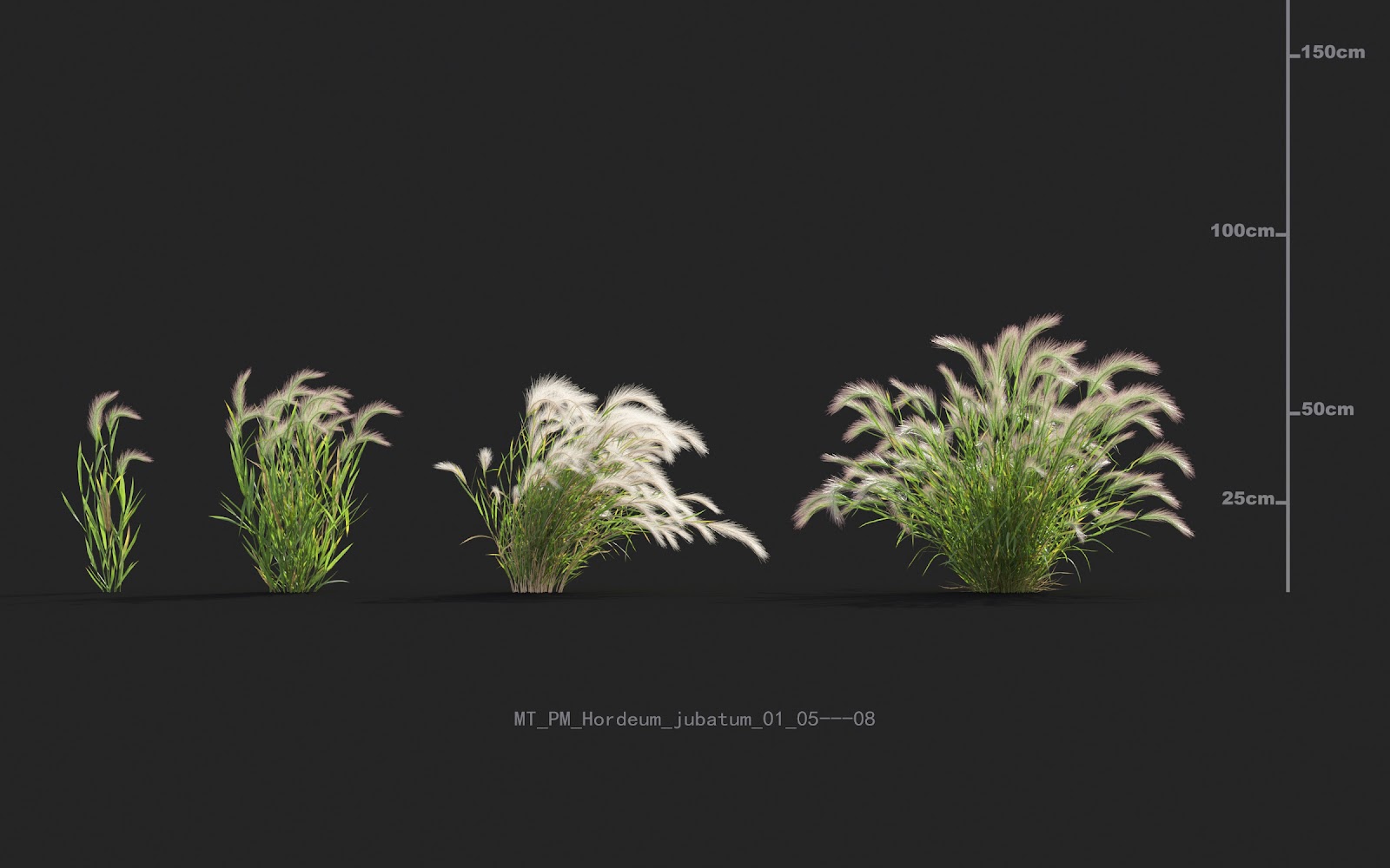 Maxtree - Plant Models Vol.20
