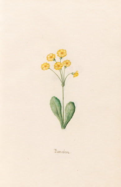Baernobren 1692
