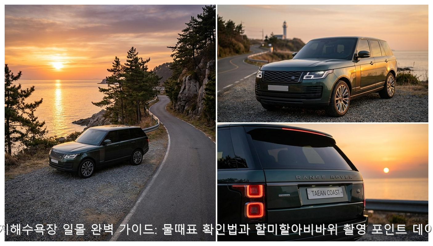 태안 꽃지해수욕장 일몰 완벽 가이드: 물때표 확인법과 할미할아비바위 촬영 포인트 데이터 분석 핵심 안내 및 분석 인포그래픽 (3)
