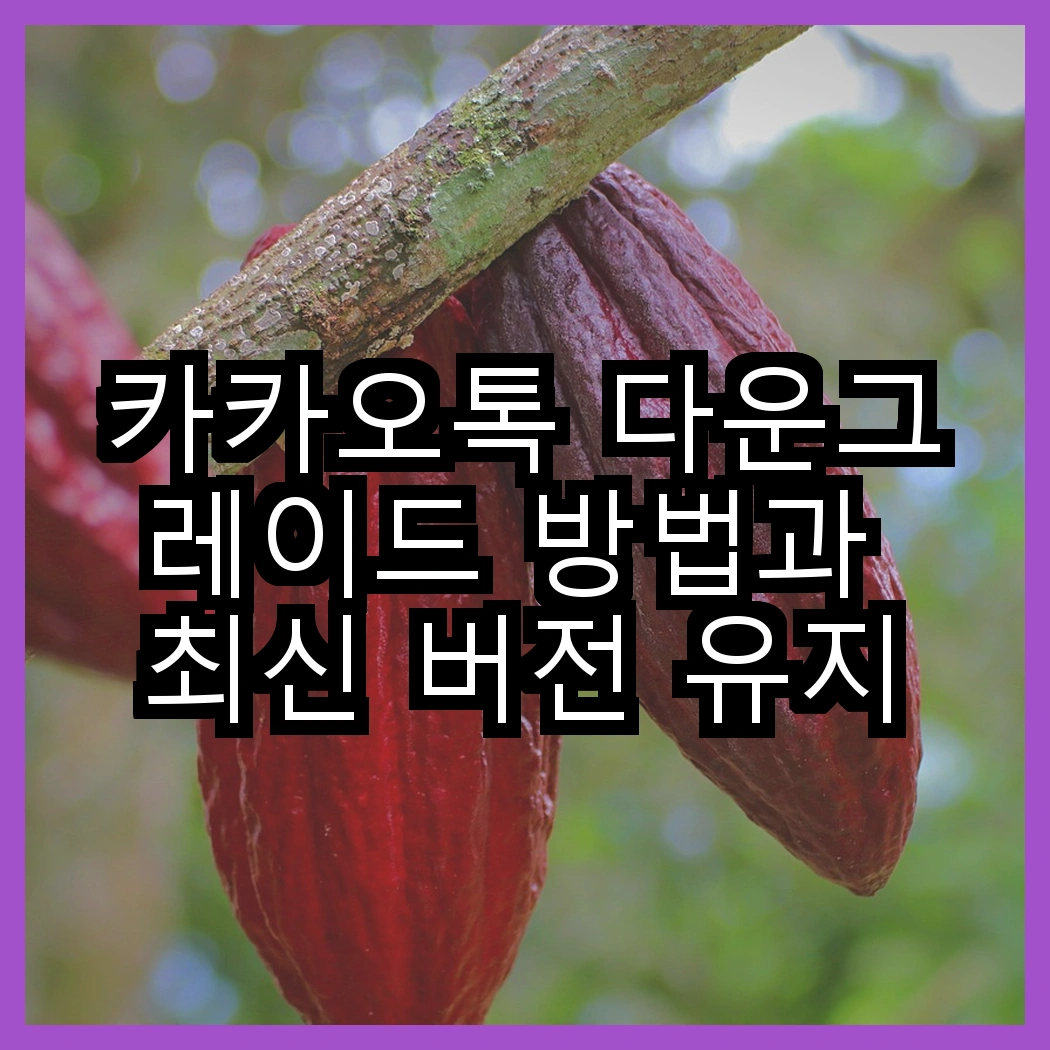 카카오톡 다운그레이드 방법과 최신 버전 유지하는 꿀팁 썸네일
