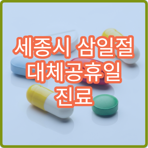 세종시 삼일절 대체공휴일 진료 병원 어디서 찾을까? 공휴일 진료 시간 및 응급실 운영 정보