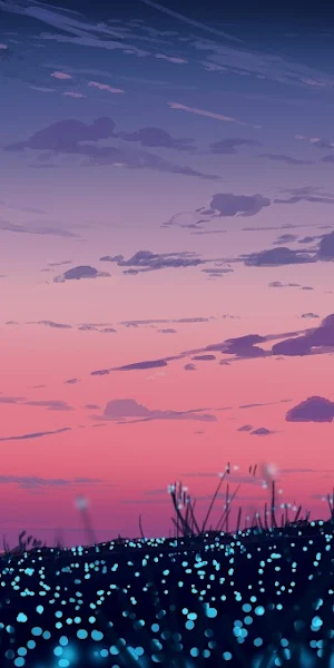 Sunset, Landscape, Field, Sky 4K Wallpaper Background