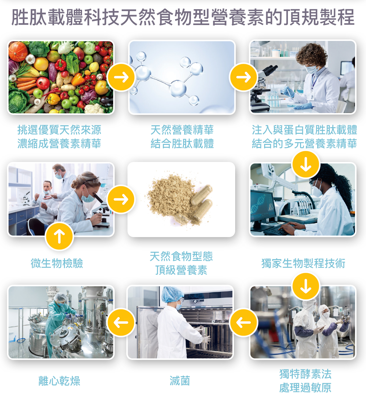 綜合維他命 B 群完整八種說明