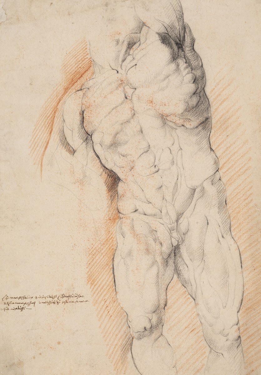 Anatomical Study écorché Front view of standing flayed man his left arm raised 1
