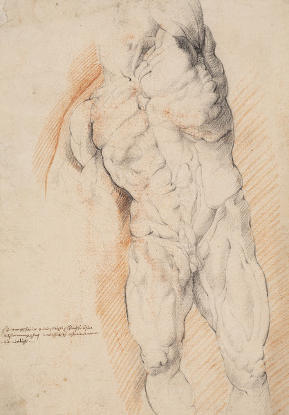 Anatomical Study écorché Front view of standing flayed man his left arm raised 1