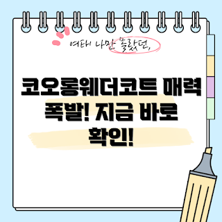 코오롱웨더코트, 아우터 선택, 겨울 패션, 스타일 팁, 초보자 추천