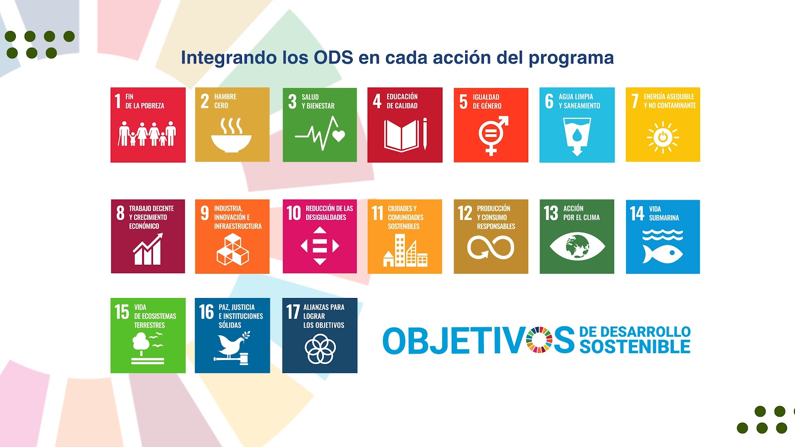 ODS Reverso