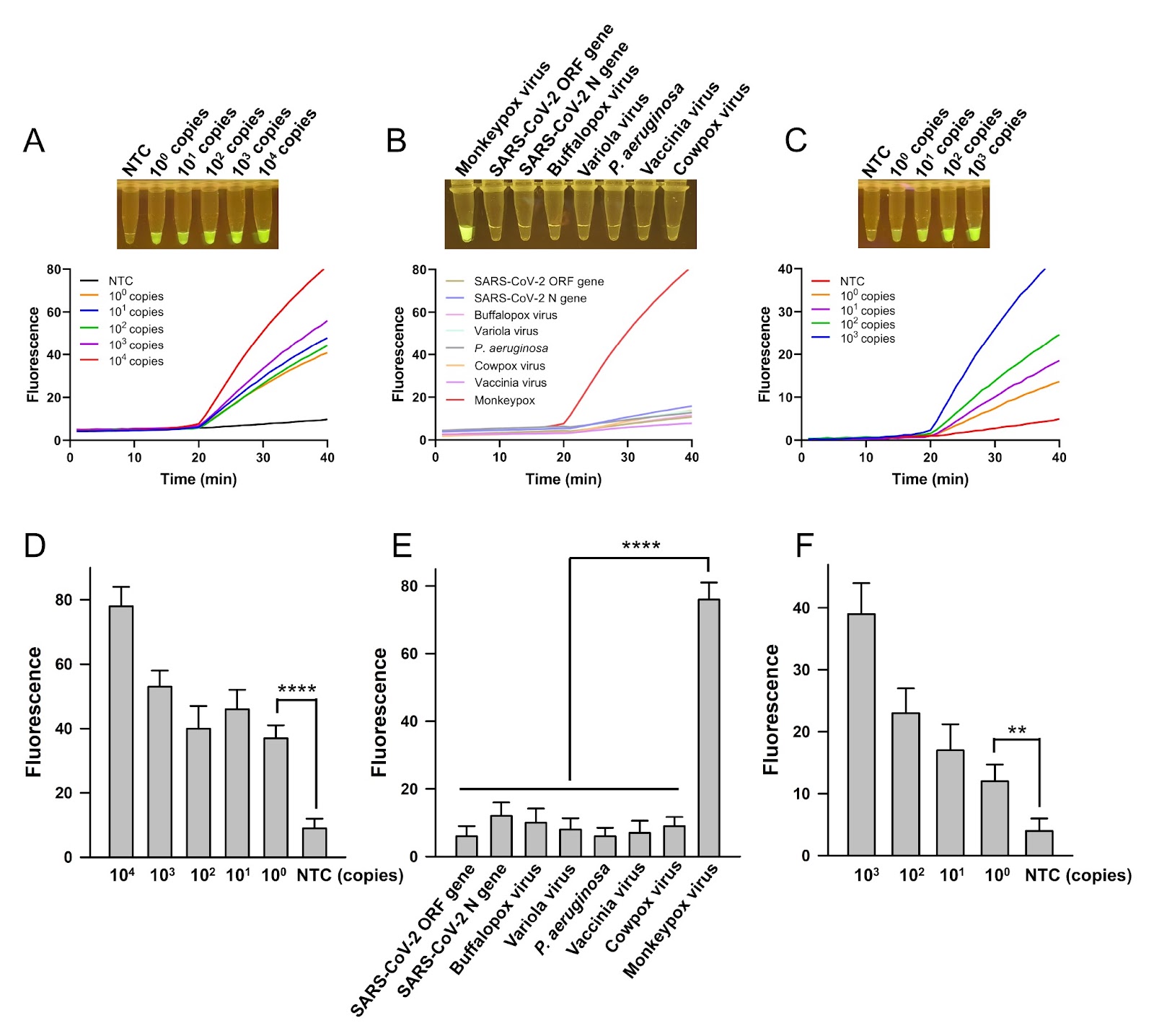 CRATS: a one-pot CRISPR-Cas12b and RPA combined assay with a temperature switch for highly sensitive detection of monkeypox virus