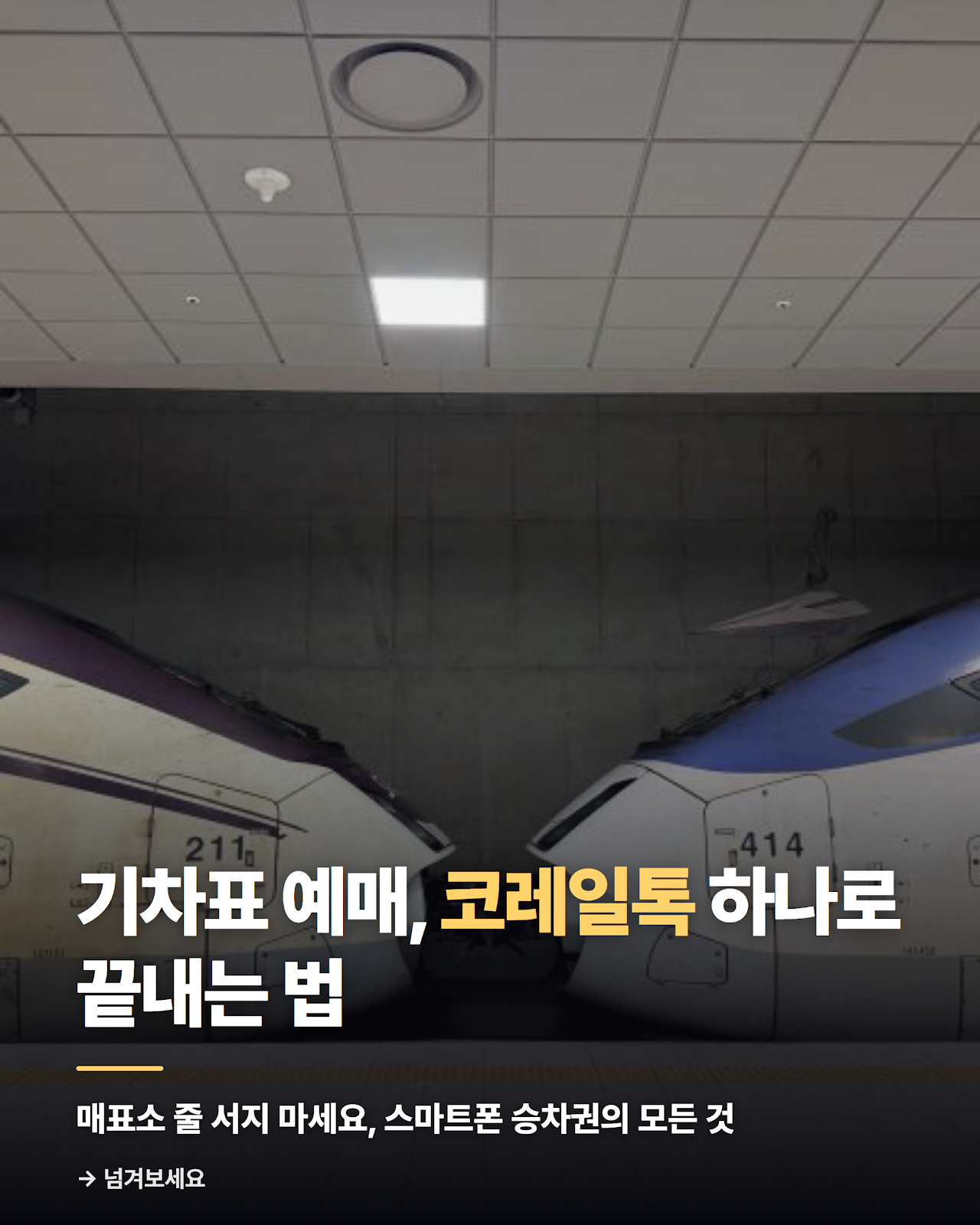 카드뉴스