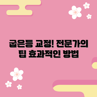 굽은등교정기, 교정기 추천, 허리 교정, 자세 교정 방법, 굽은등 치료