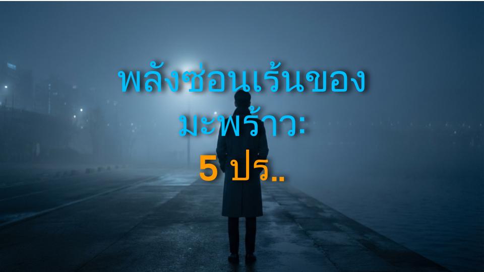 พลังซ่อนเร้นของมะพร้าว: 5 ประโยชน์เด็ดที่นักโภชนาการวิเคราะห์ให้