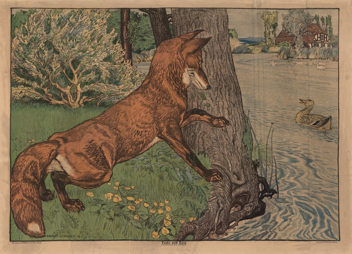 Fox and ducks 1911