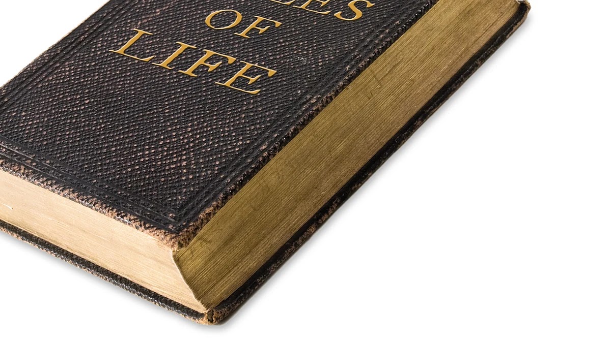 농구 3점 슛 규칙의 역사와 국제대회별 차이점