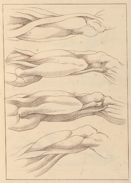 Anatomical Studies of Legs 1716