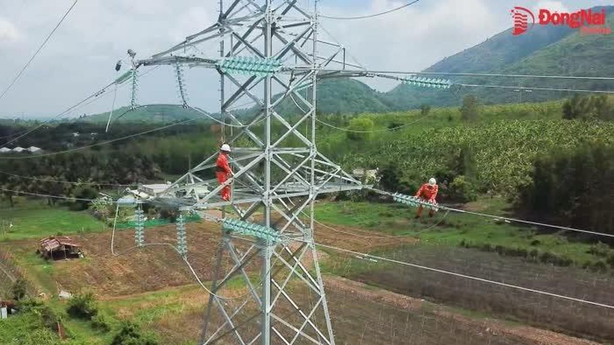 [Video] Điện lực Đồng Nai hoàn thành thêm một công trình 110kV quan trọng - Báo Đồng Nai