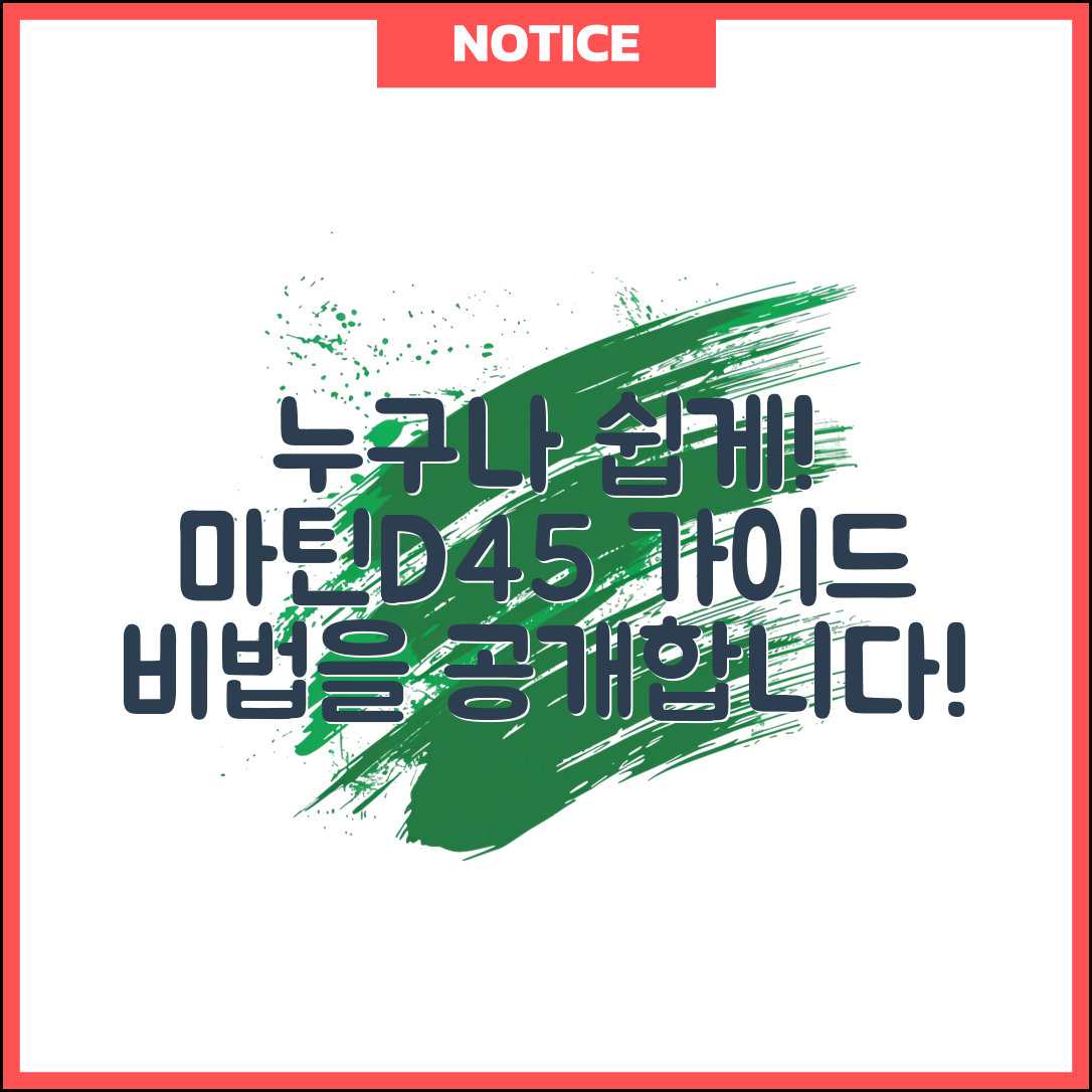 누구나 쉽게 활용할 수 있는 마틴D45 가이드