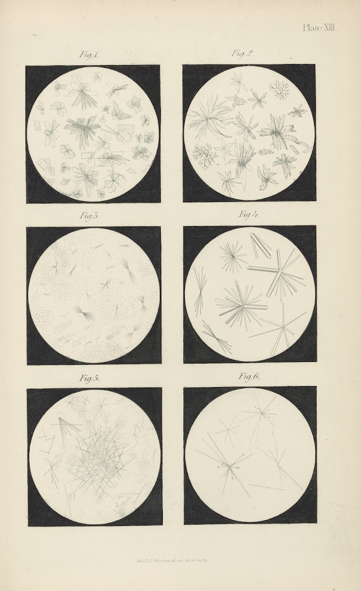 Micro Chemistry of Poisons Pl13 1885