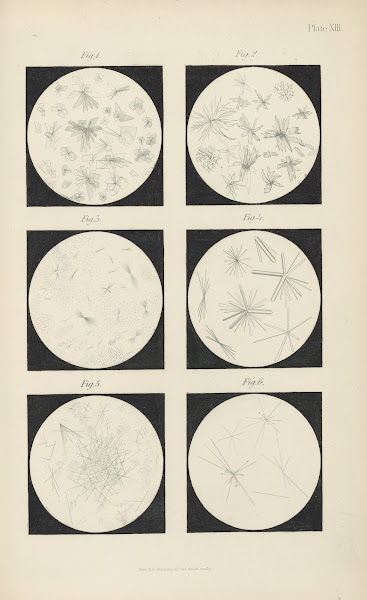 Micro Chemistry of Poisons Pl13 1885