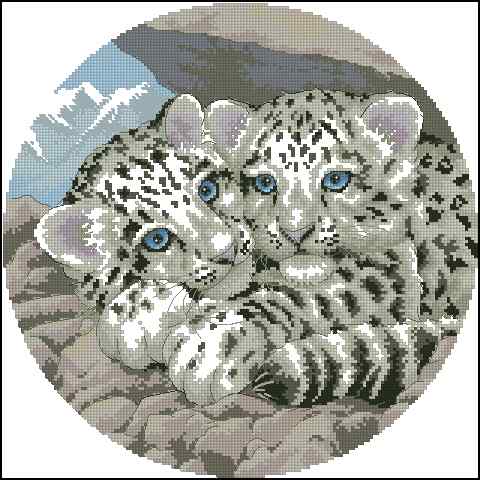 CMP 400264 Snow Leopards Cubs