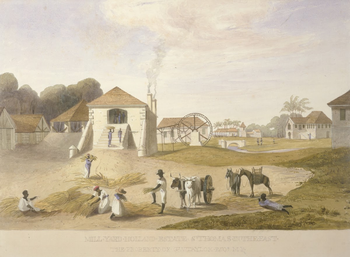 Mill Yard Holland Estate St Thomas in the East between 1820 and 1821