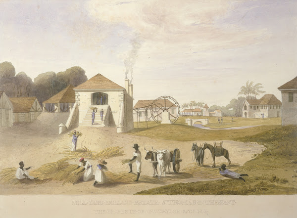 Mill Yard Holland Estate St Thomas in the East between 1820 and 1821