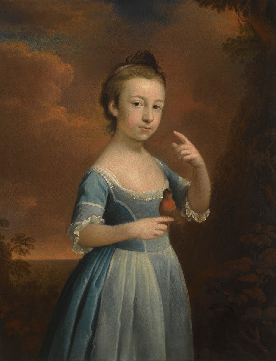 Portrait of a Girl With a Robin