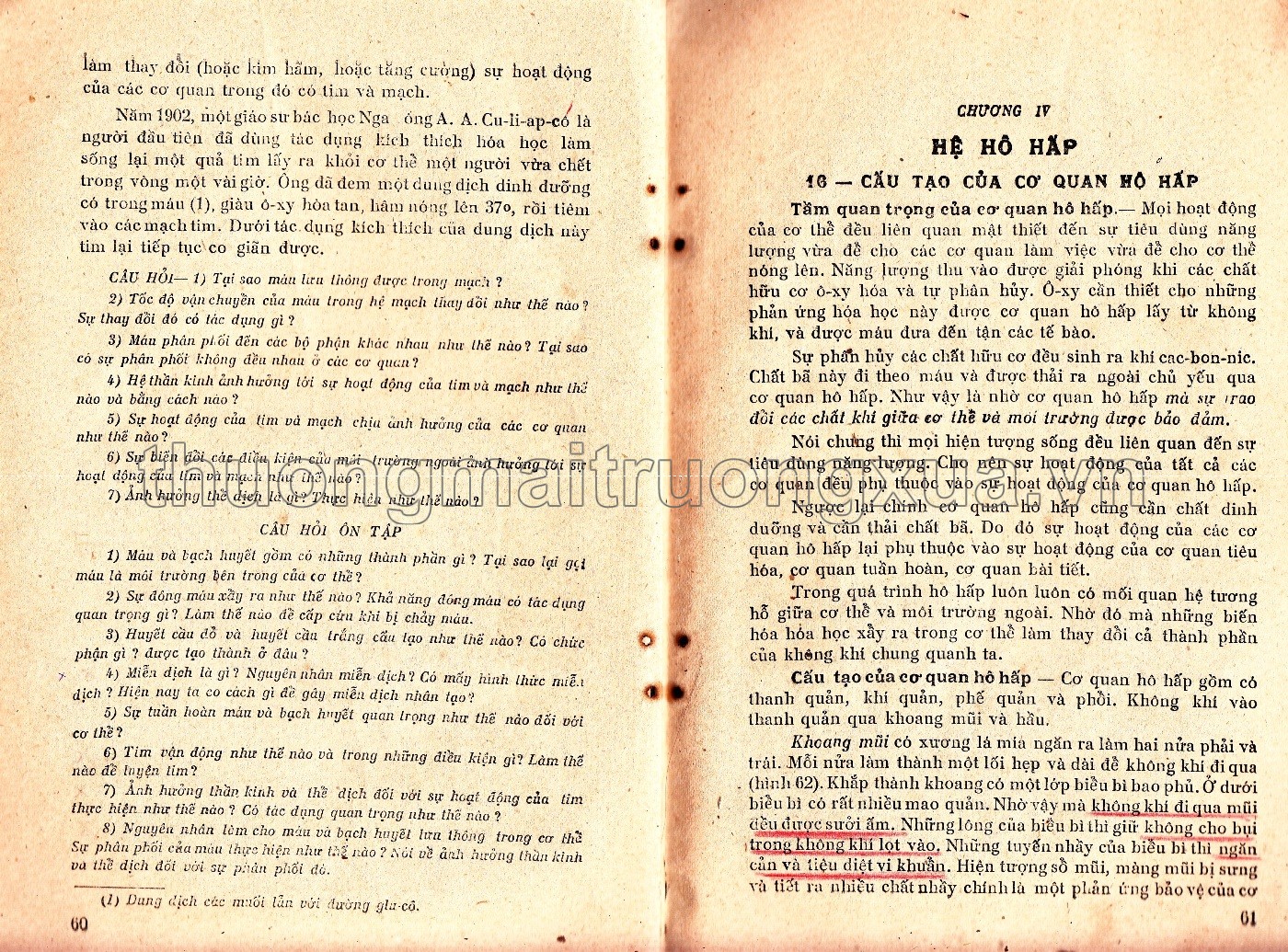 Giải phẫu và sinh lý người (lớp 8 phổ thông, tập 1 - 1960) - Trang 31