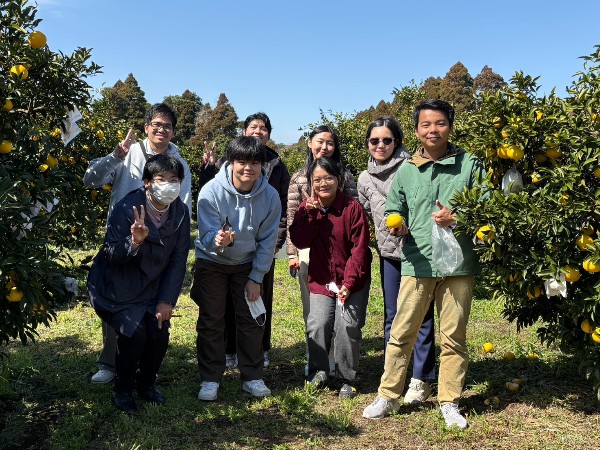 情報処理研究室の留学生が日向夏の収穫体験を楽しみました