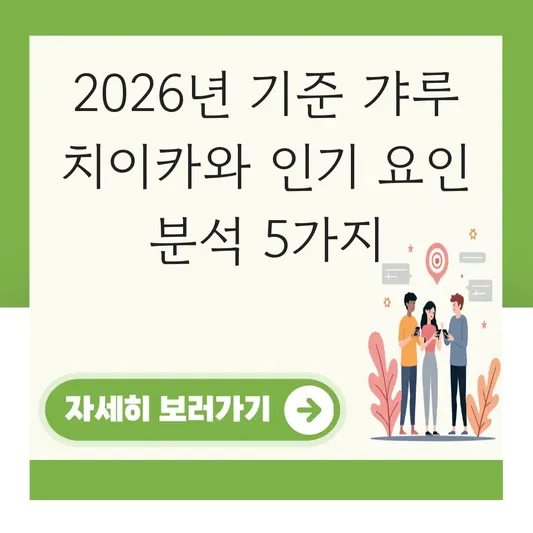 갸루 치이카와 인기 요인 분석