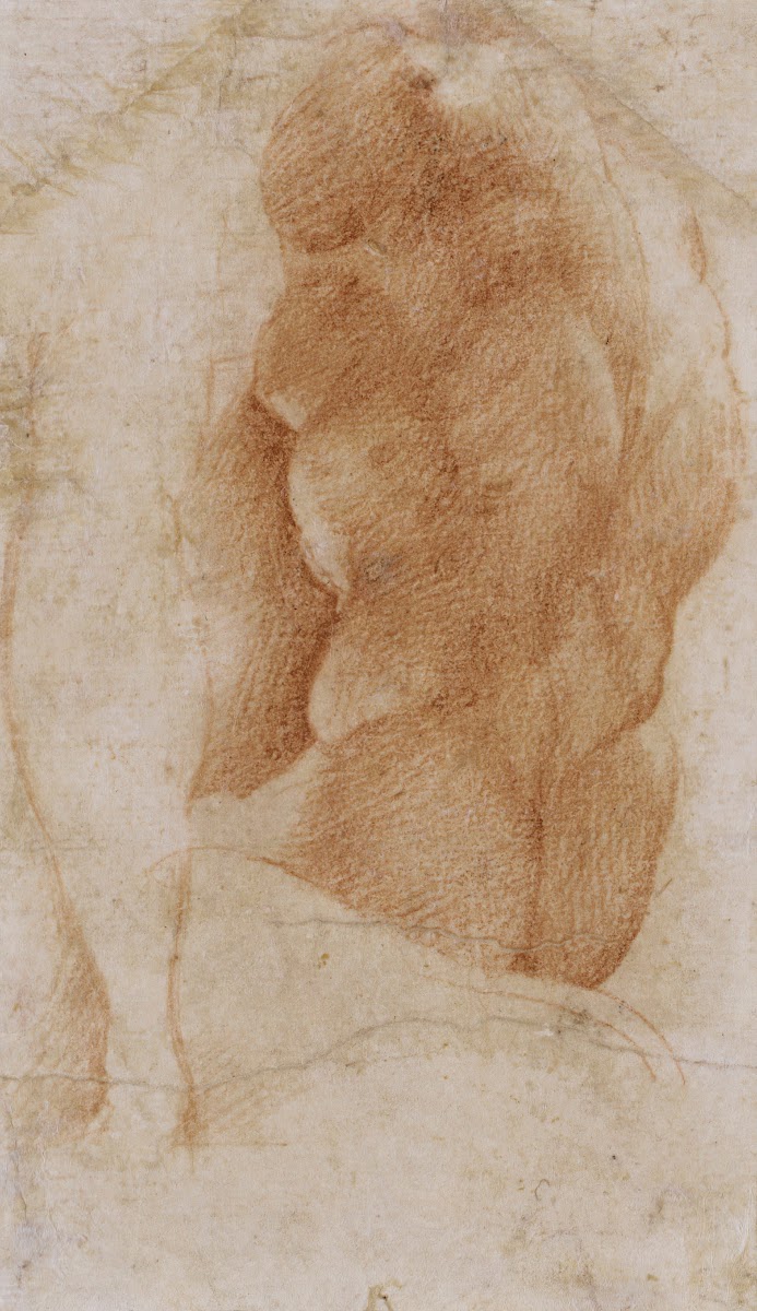 Studies of a Nude Male Torso Seen from the Rear and a leg ca 1522