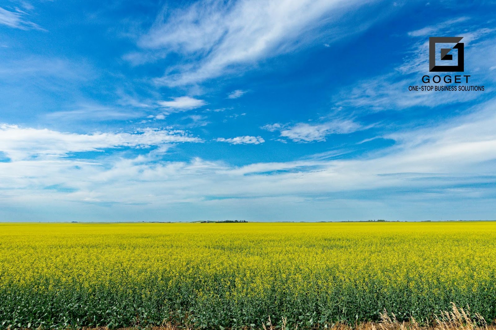 Saskatchewan Invests in Rural Startups with 9K