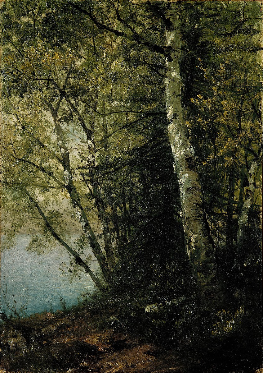 Study of Beeches 1872