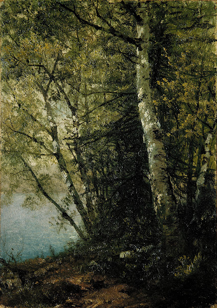 Study of Beeches 1872