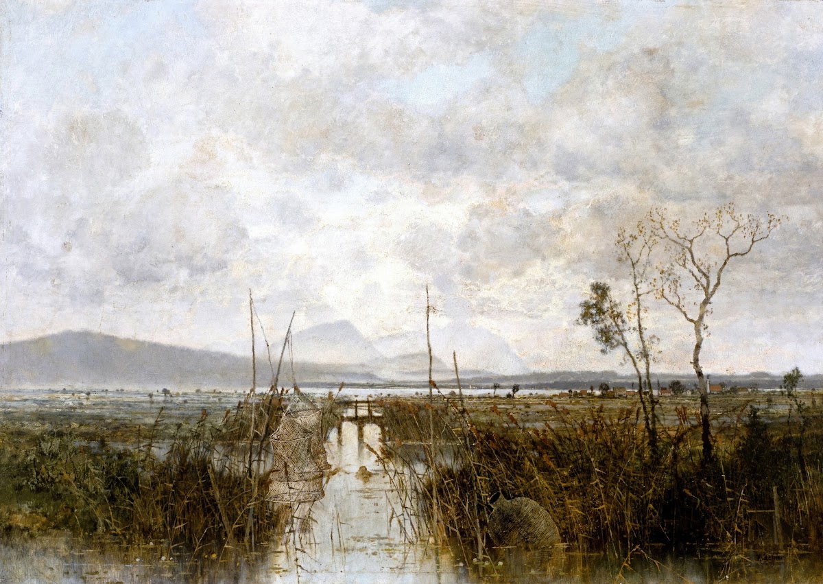 Fischreusen im Uferbereich eines Sees