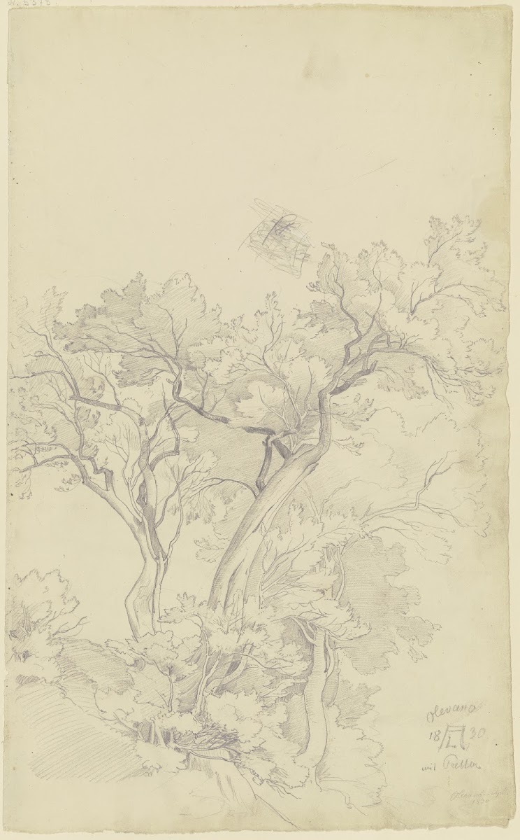 Trees near Olevano 1830