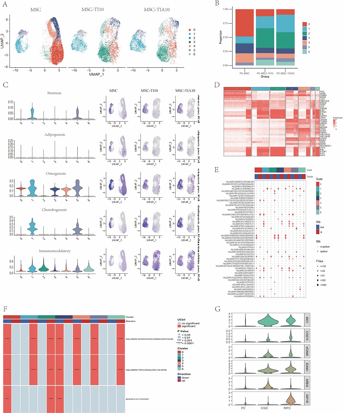 Single-cell RNA sequencing identifies PD-L1+ mesenchymal stem cells with enhanced immunomodulatory capacity and alleviated the degree of ectopic new bone formation in ankylosing spondylitis