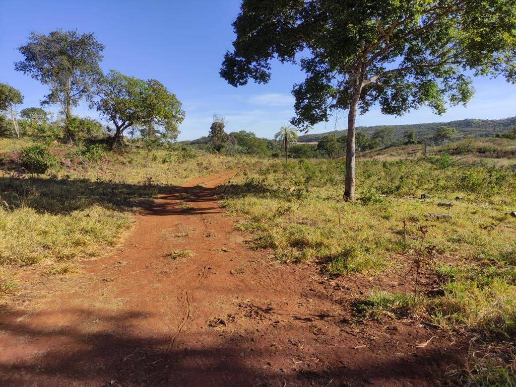 Fazenda em Niquelândia - GO 10