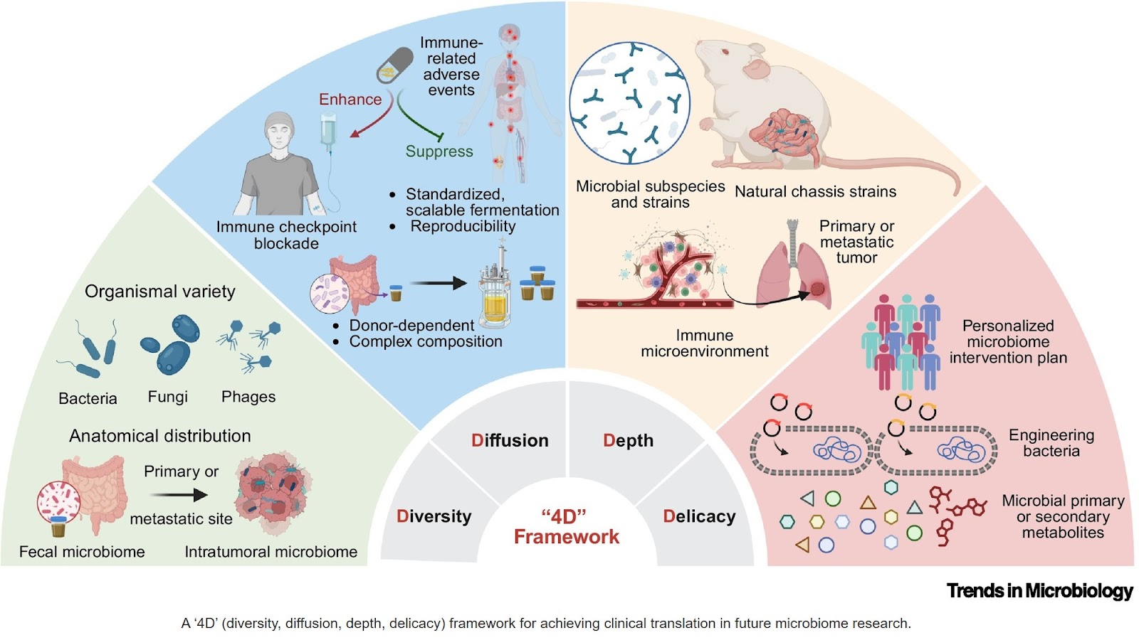 Opportunities and challenges in applying microbiota to clinical cancer immunotherapy
