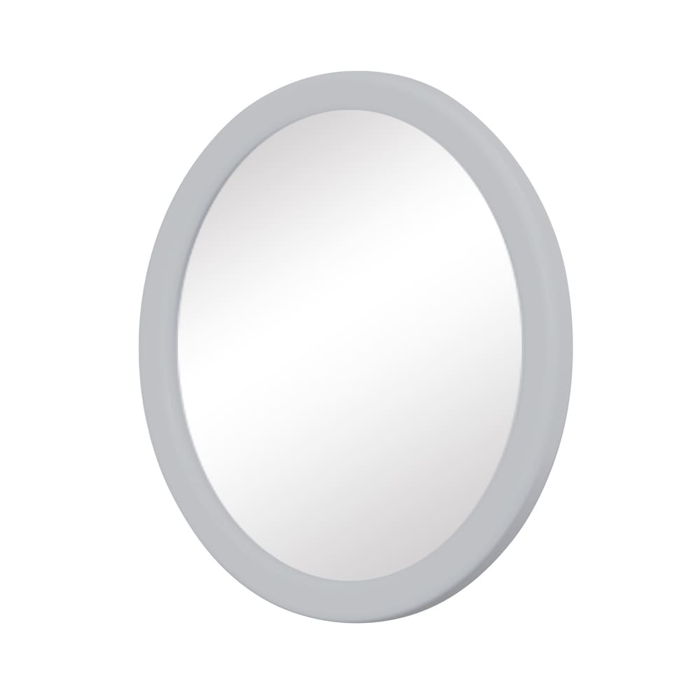 Espejo de succión Zadro™ E-Z Grip™ 12x, color gris