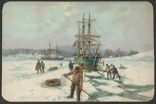 Polar motif