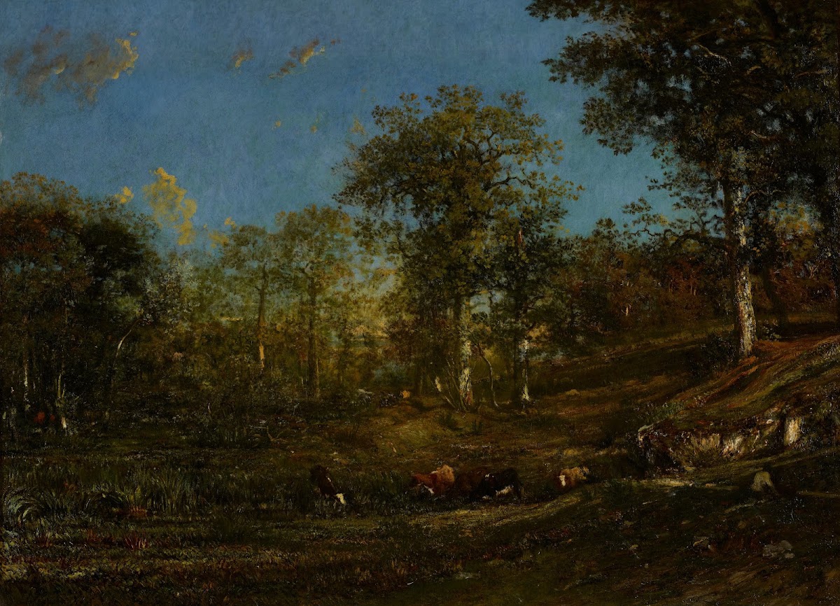 View of the Pastures of the Limousin France 1835
