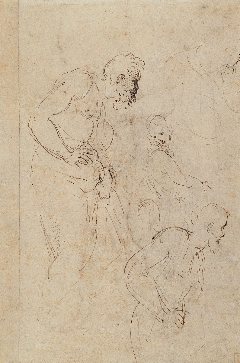 Studies for the Disputa 15091511