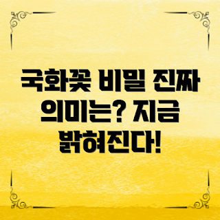 국화꽃의 의미, 국화꽃 symbolism, 꽃 의미 초보자, 국화꽃 종류, 프리젠테이션 자료