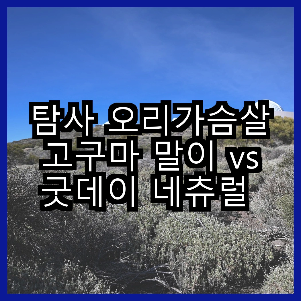 탐사 오리가슴살 고구마 말이 vs 굿데이 네츄럴 스낵, 어떤 간식이 반려묘를 더 행복하게 할까? 썸네일